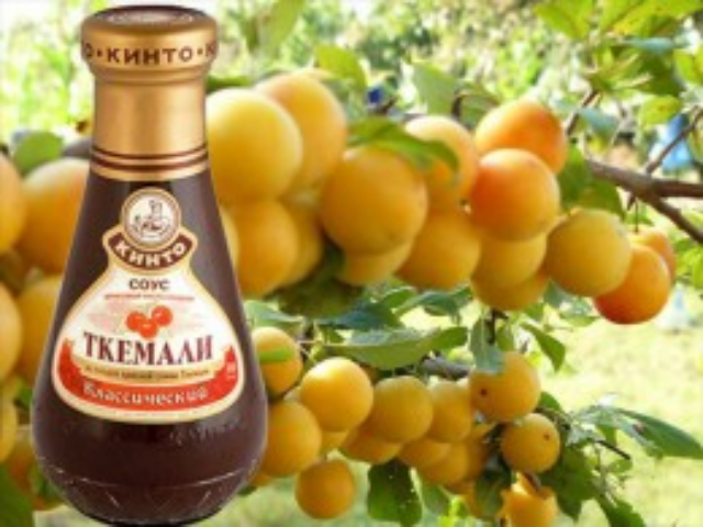 Соус «Ткемали»: каким должен быть?