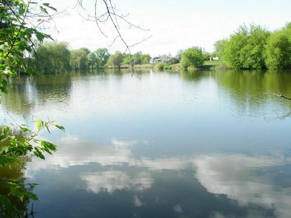 Продаж будинку 65 м²