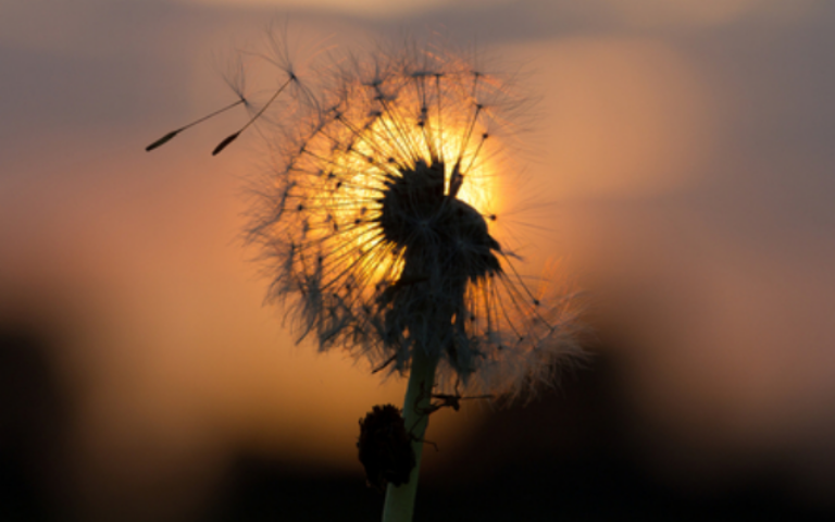 Что такое покаяние и почему оно «не работает»?