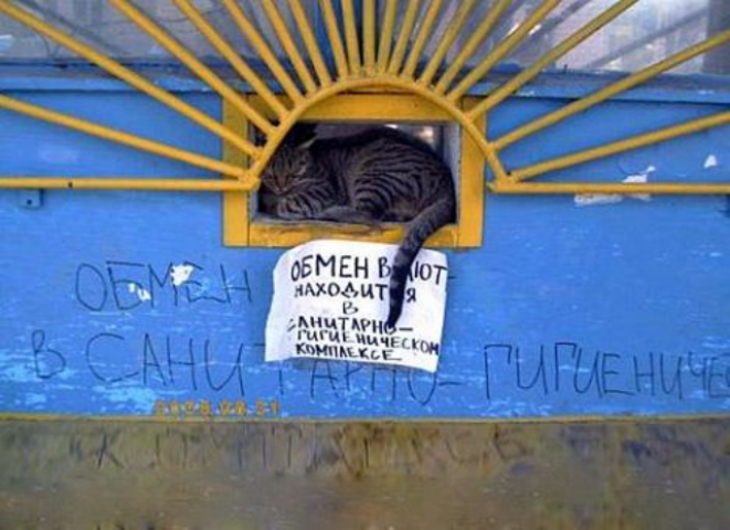 Власти отправили население к менялам