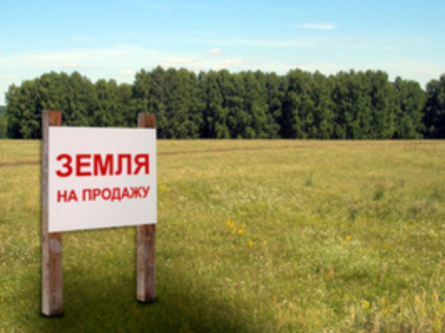 Две "ложки дегтя" в земельной реформе