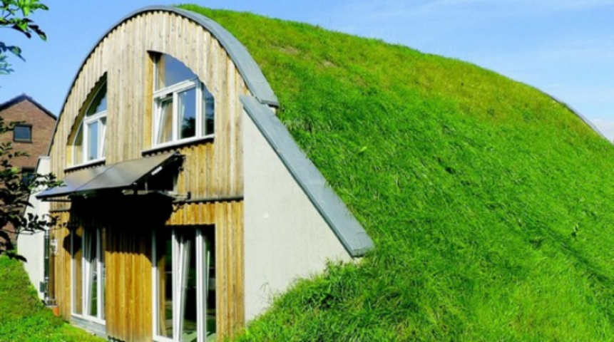 Back to nature: люди возвращаются в землянки. Фото