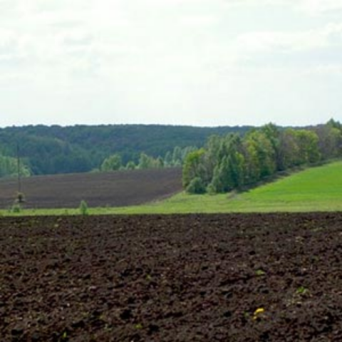 Стоимость земли и ее аренды в Украине будет расти