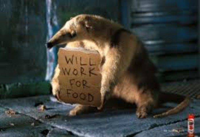 Работать за еду?