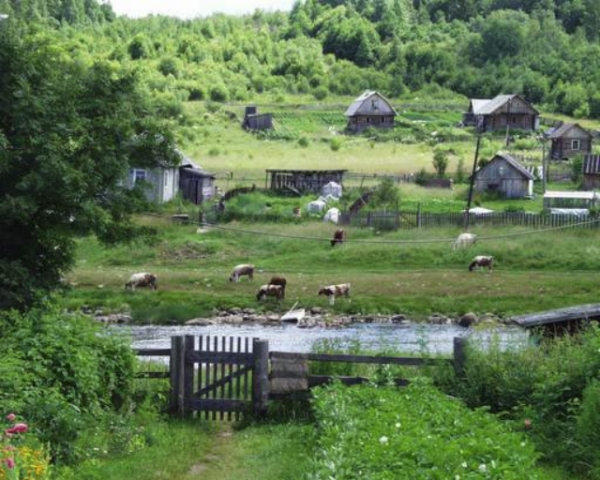 Чтобы сохранить село, нужно продавать землю