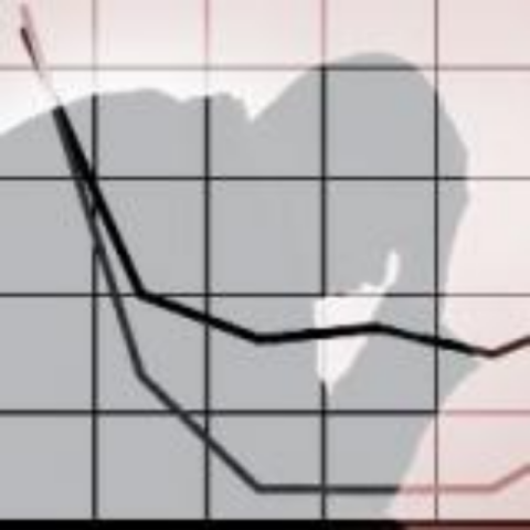 Украине обещают новый кризис в 2013 году