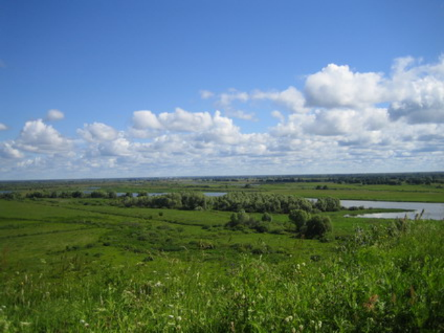 С 2012 года в Украине необходимо ввести полноценный рынок земли 