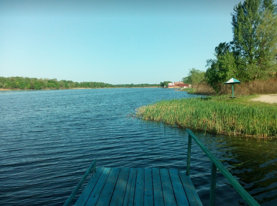 Продаж ділянки під індивідуальне житлове будівництво 87 соток, Солов'яненко вул.