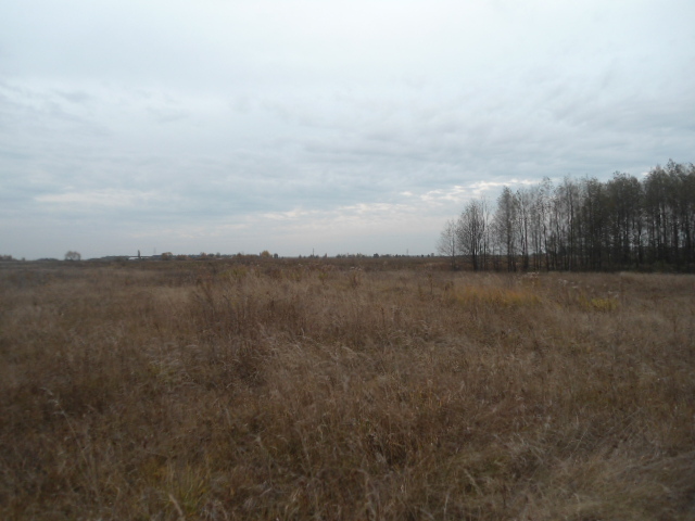 Продажа участка для растениеводства 10 соток