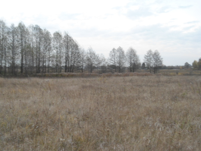 Продажа участка для растениеводства 10 соток