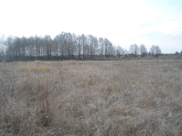 Продажа участка для растениеводства 10 соток