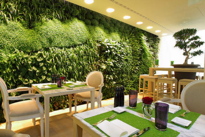 Кафе зеленая зона. Озеленение кафе. Озеленение ресторана интерьер. Зелень в интерьере кафе. Озеленение кофейни.