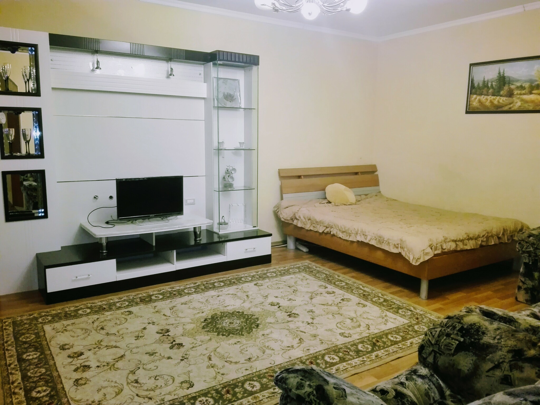Оренда 1-кімнатної квартири 70 м², Академіка Павлова вул., 142В