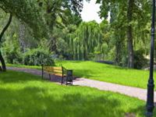 Харківські екологи протестують проти закону «Про регулювання містобудівної діяльності»