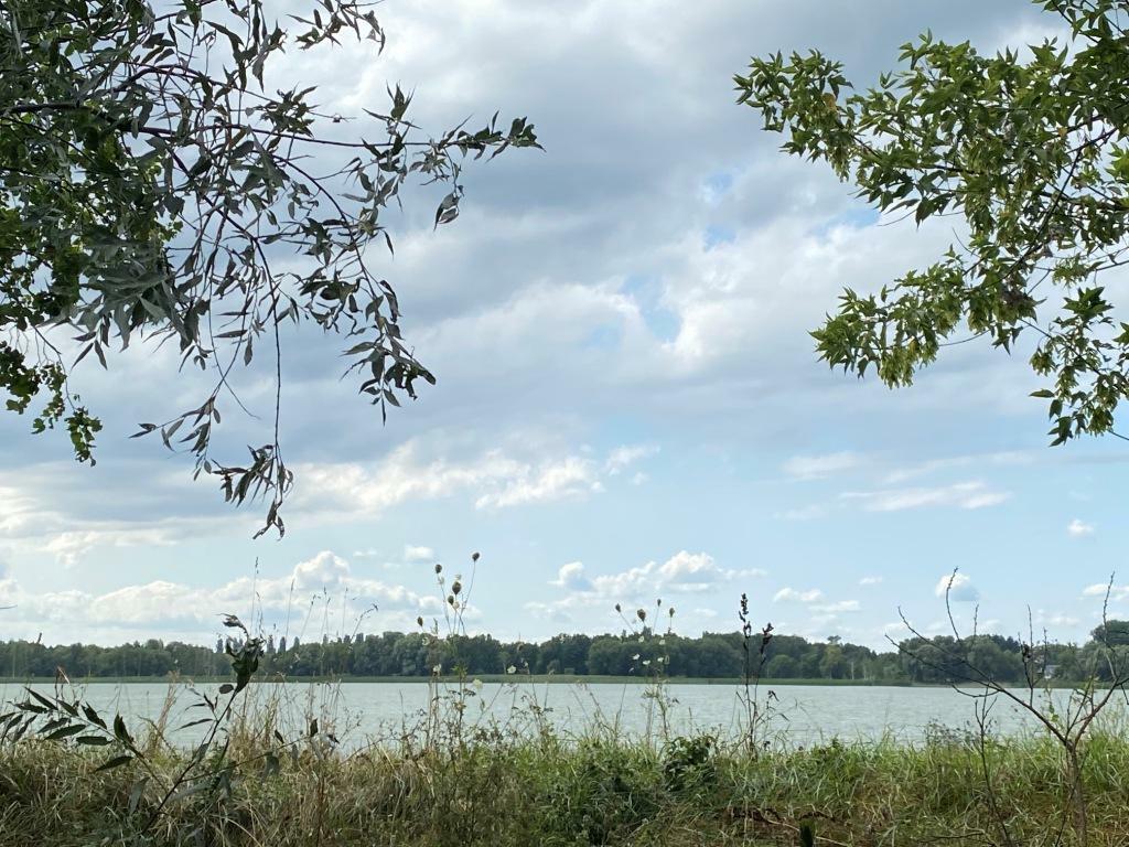 Продаж ділянки під інвестиційний проєкт 80 соток