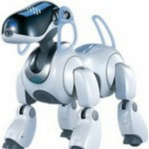 Особенности современных роботов. Фото