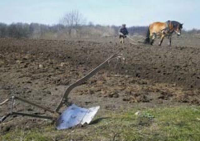 Влада готується зняти мораторій на продаж землі: хто виграє?