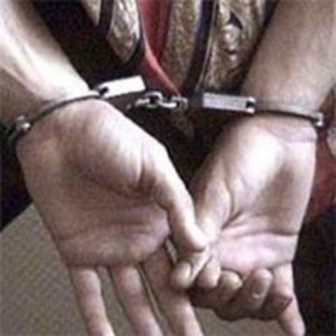 Арестована начальник управления по вопросам землепользования и градостроения Киевсовета