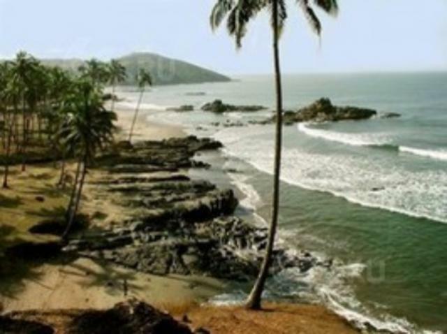 Открываем свой бизнес на Гоа