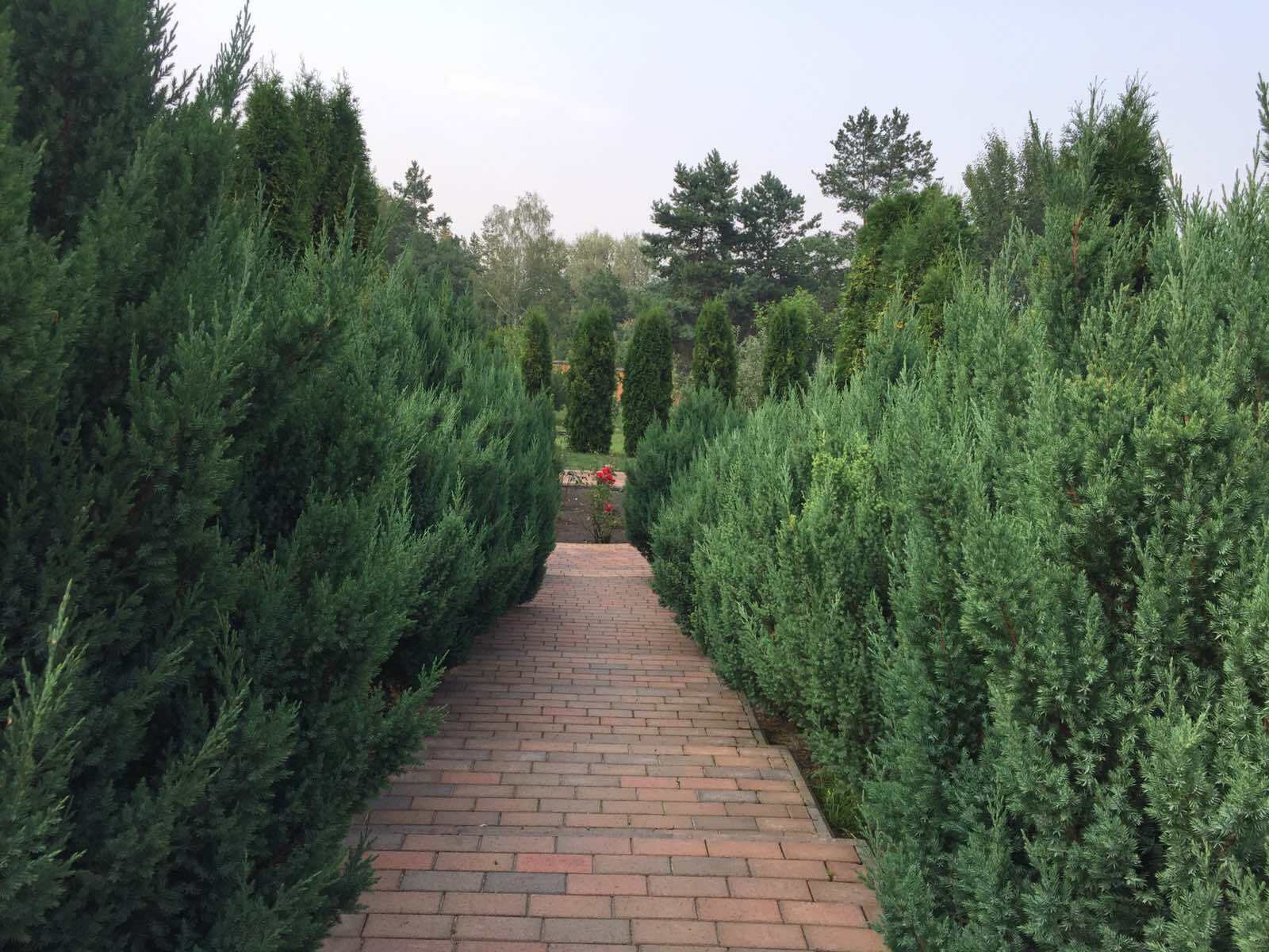 Продажа дома 370 м²