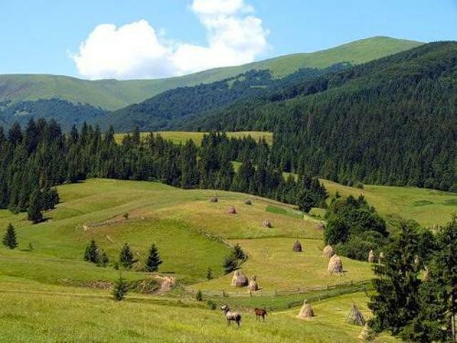 Рынок краткосрочной аренды жилья в Карпатах 