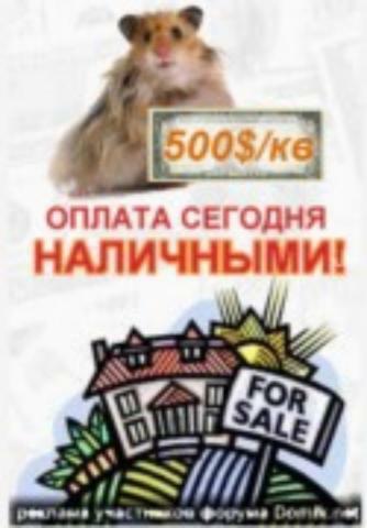 Предварительные итоги  «Недели Хомяка» на киевском портале недвижимости Domik.net