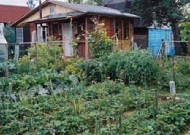 Ціни на будинки вимірюються в гривнях, а не в доларах