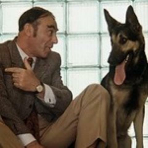 Интервью с бывшим киевским домушником. Часть 2