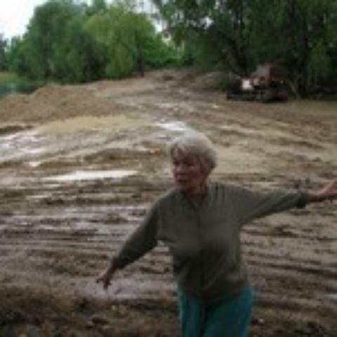 Что им стоит дом построить. В озере...