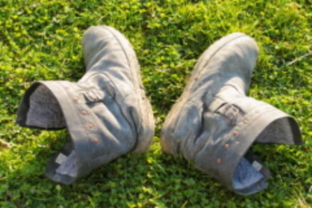 Нужна ли дача здравомыслящему горожанину? Часть 2