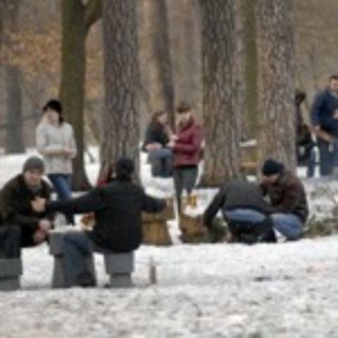 Киевские парки готовятся к пикникам 