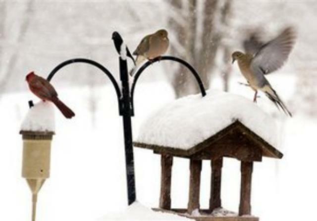 Жилье будут строить на оборонных землях