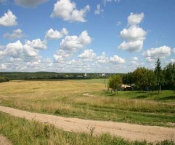 Жители Львовской области выступают против дерибана земли