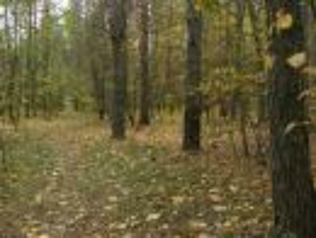 23 га на Столичном шоссе застроят жилыми домами 