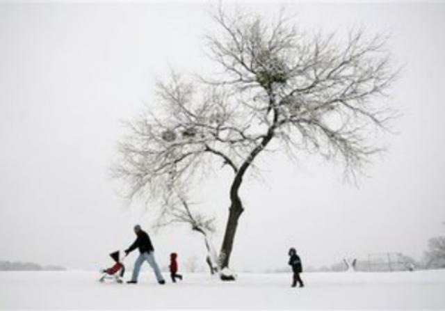 Жителям Севастополя выдали более 600 госактов на землю