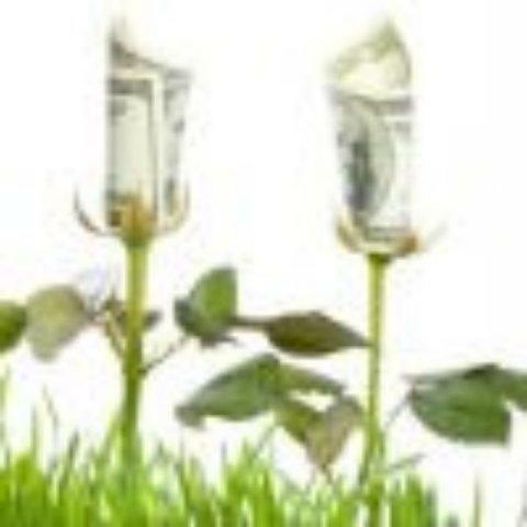 За «потребительское отношение» к земле могут начать штрафовать