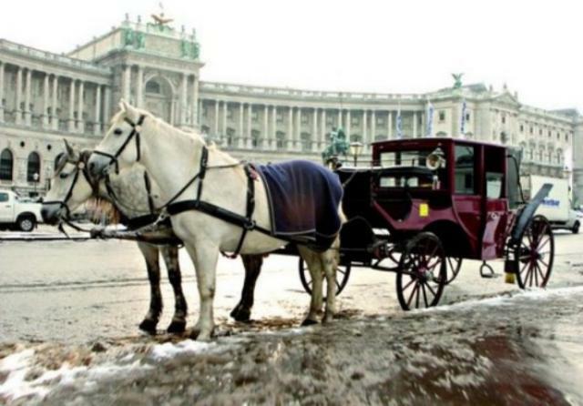 Вена: один день в Ринге