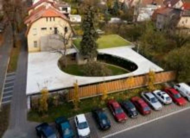 Уютный дворик с зелёной ухоженной травой в тени деревьев - внутри дома?