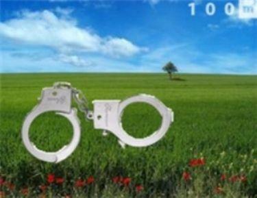 В Закарпатье увеличилось количество афер с землей 