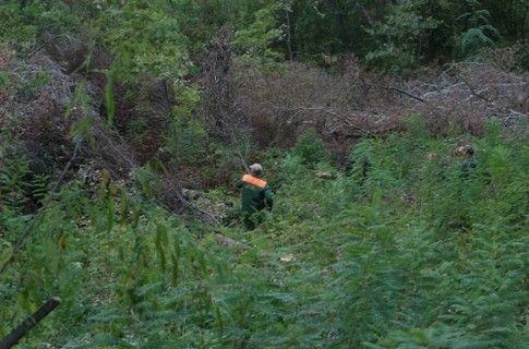 Жуков остров застроят, несмотря на требование прокуратуры