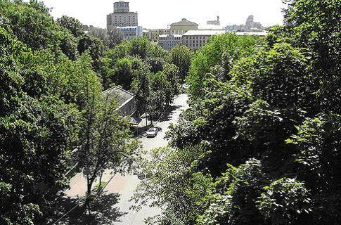 Парковую дорогу и Петровскую аллею отремонтируют