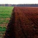 Харьковский облсовет намерен разработать программу предоставления земельных участков в области жителям Харькова