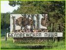 "Беловежская пуща" стала самым популярным местом в Беларуси среди туристов