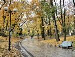 Черновецкий хочет объединить 8 центральных парков в один