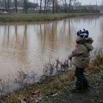 В Чернобыле рыжий лес, а в Киеве - рыжее озеро 