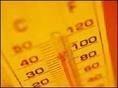 Этот год станет самым теплым за последние 150 лет 