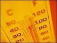 Этот год станет самым теплым за последние 150 лет