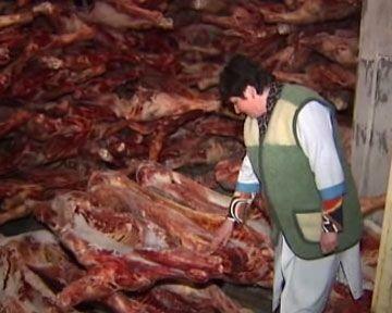 Кто зарабатывает на продуктах из госрезерва?