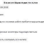 Экзотические вакансии: Пошуршать, что ли, за $200?  