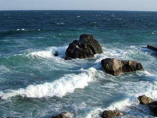 Насколько чистое море в Крыму